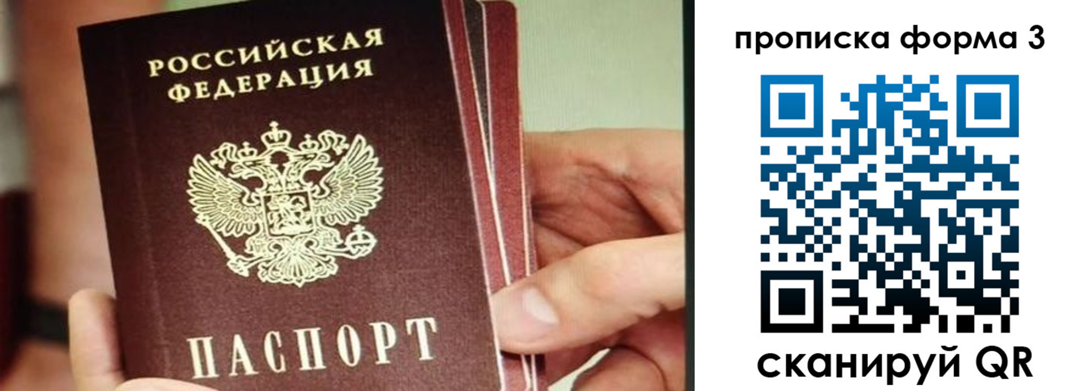 прописка законно в Ртищево